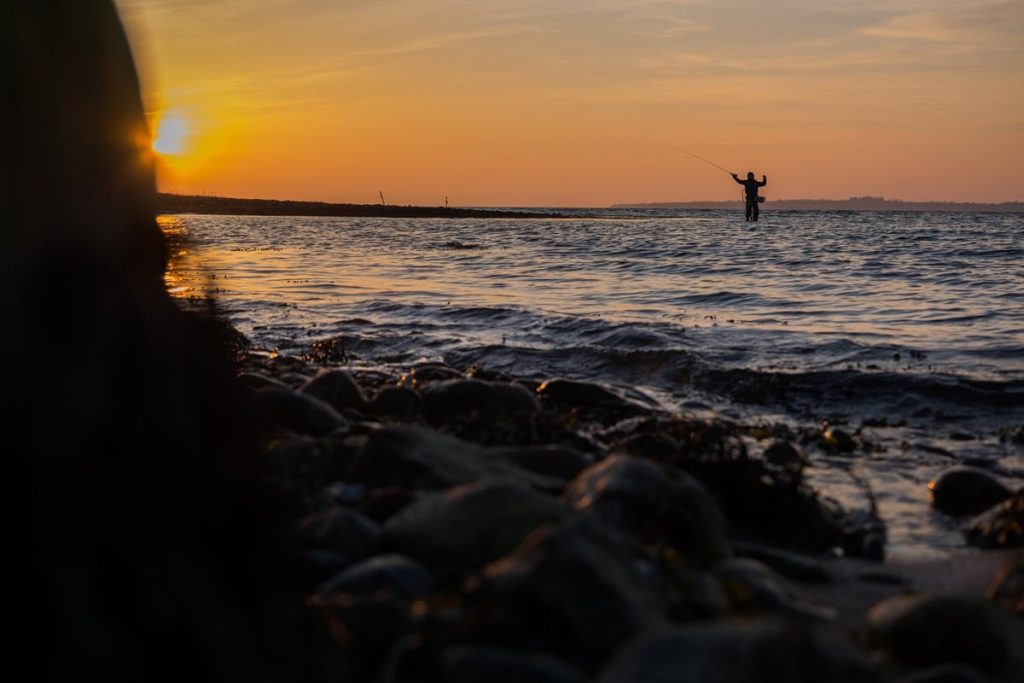 Visvakantie Denemarken