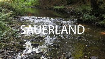 Vliegvissen in het Sauerland