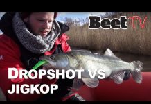 Roofvissen in de winter met dropshot en jigkop systeem