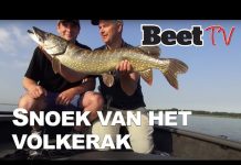 Luc Coppens vangt mega snoek op het Volkerak