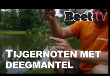 Zo kneed je pasta om tijgernoten