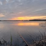 Op karper met kunstaas