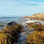 Eilandhoppen in Denemarken (1)