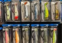 Nieuws van “Ons Stekkie”