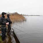 Twitch, Cranck, Spin, Jerk, Glide