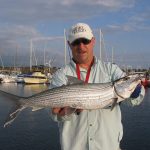 Meer dan 2000 vissoorten