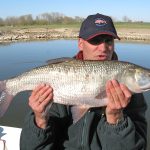 Droomstekken voor roofblei die “altijd” vis opleveren