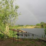 Engelse reuzenzeelten 2