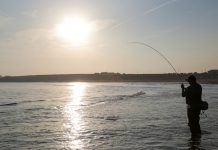 Ierland | Zeebaars langs de kust van Kilkenny