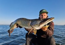 Grote zomersnoek van diep water