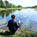 Hoe vis je op forel?