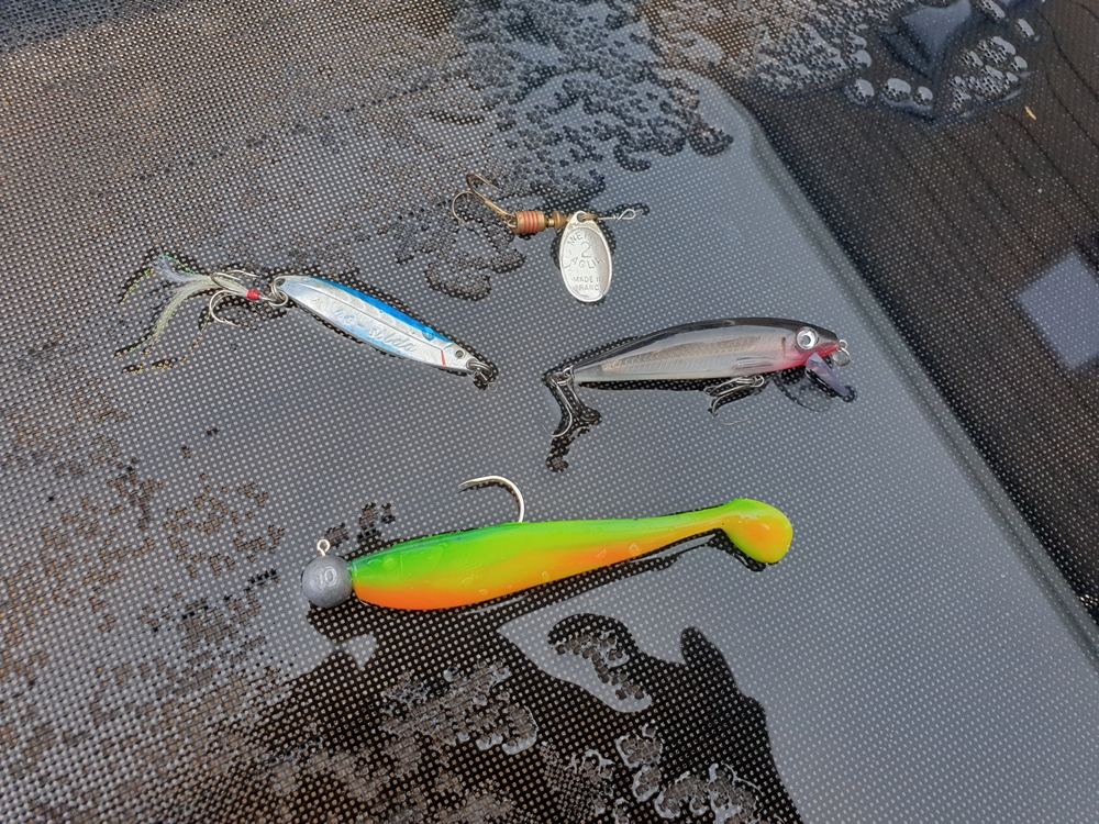 Snoekbaars Tips