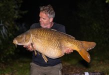 De allround rig: de veelzijdige combinatie van wafter en pop-up