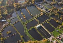 Viskwekerij Vandeput, waar sportvissen begint!