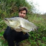 Grote Roofblei van de rivier