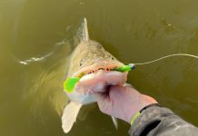 Verspeel minder aanbeten