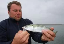 Licht bepakt zoeken naar makreel