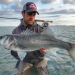 Zeebaars op de vlieg