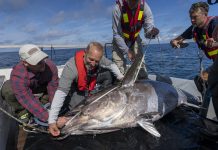 Masterclass zeevissen