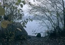 Najaar onder de paddenstoel – deel 2