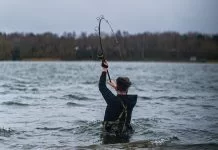 Werpend vissen op karper