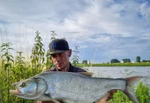 Hoe vis je op roofblei?