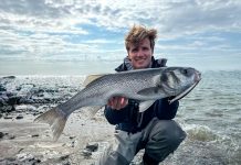 Veelzijdig op zeebaars