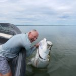Tarpon