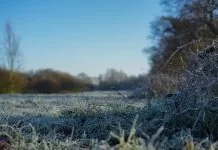 5 tips voor succesvol karpervissen in de winter!