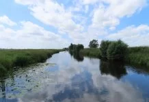 Parels uit het polderlandschap