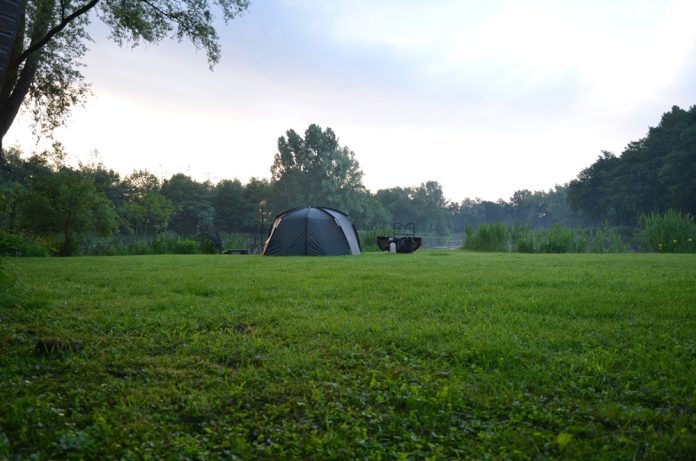 m_W129-11 Roy van Goor 18 OPENER