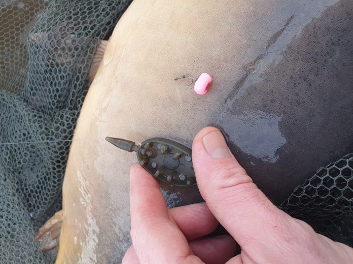 m_131KW09 Rinze methodpower (01)