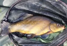 Zeeltvissen in het voorjaar: Tips voor succes