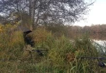 Memoires van een seriewoordenaar