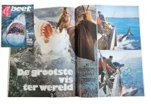 50 jaar Beet – terug naar het begin