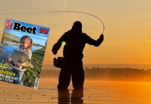 Beet 2 – Het voorjaar dient zich weer aan