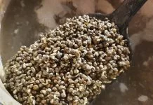 Vissen met hennep: Van bereiding tot haakaas.