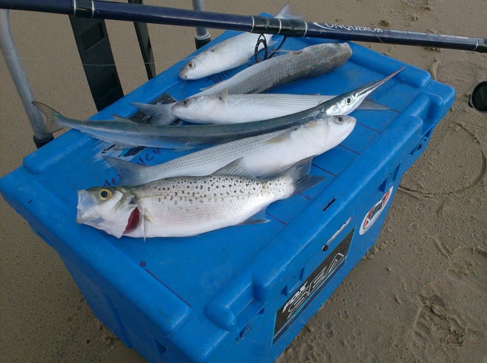 Strandvissen in Frankrijk