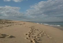Strandvissen in Frankrijk: Ontdek de Atlantische kust Strandvissen in Frankrijk