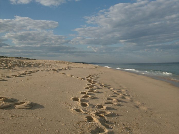 Strandvissen in Frankrijk