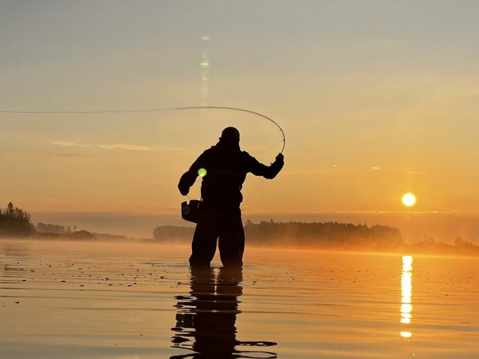 Vliegvissen op snoek