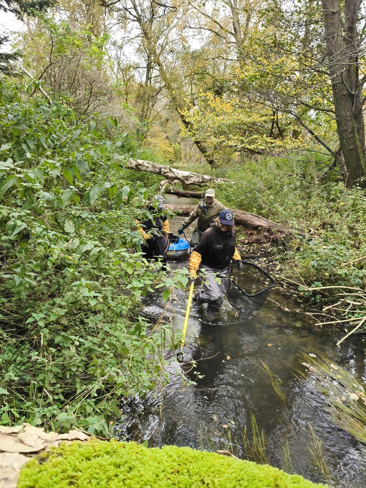 Visvakantie Denemarken