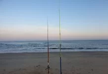 Kantvissen in het voorjaar