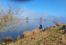 Vissen op de Bergse Maas: Tips voor grote vis