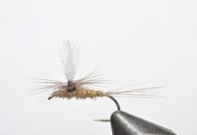 Gold Ribbed Hare’s Ear Parachute