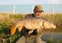 Polderkarper – Statisch of Pennen?