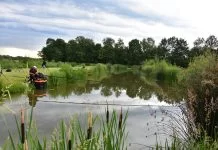 Vissen op commercials