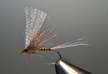 Large Dark Olive