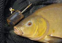 Hertverwarmende voorjaarszeelt