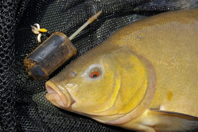 m_KLEIN Madenrig en boltrigfeeder